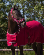 Load image into Gallery viewer, QHP Dolci Halter Set