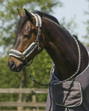 Load image into Gallery viewer, QHP Dolci Halter Set