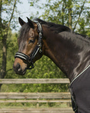Load image into Gallery viewer, QHP Dolci Halter Set