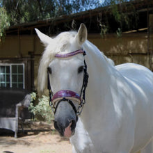 Load image into Gallery viewer, Halter Ego Limited Edition Viola Snaffle Bridle