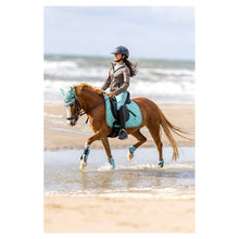 Load image into Gallery viewer, BR Eevolv Tendon Boots Set Elay