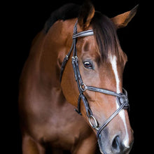 Load image into Gallery viewer, Lumiere Ava Grackle Bridle