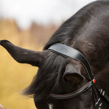 Load image into Gallery viewer, Kieffer Vera Snaffle Bridle