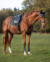 Load image into Gallery viewer, QHP Kae Saddle Pad GP