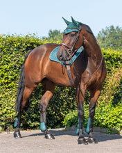 Load image into Gallery viewer, QHP Tendon Boot Set