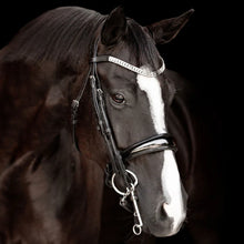 Load image into Gallery viewer, Lumiere AMIE' LUXURY LEATHER BRIDLE - (DOUBLE)