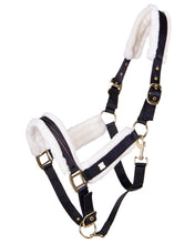 Load image into Gallery viewer, QHP- Menton Halter ~ Black