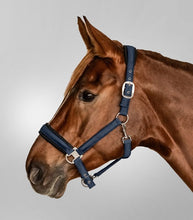 Load image into Gallery viewer, Waldhausen Breath Halter