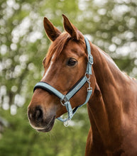 Load image into Gallery viewer, Waldhausen Breath Halter