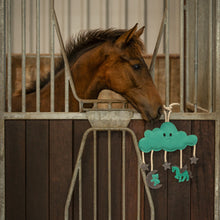 Load image into Gallery viewer, QHP Horse toy Novy