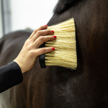 Load image into Gallery viewer, QHP Royal Grooming Set ~ Brown or Black