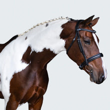 Load image into Gallery viewer, Lumiere STELLA BRIDLE SNAFFLE