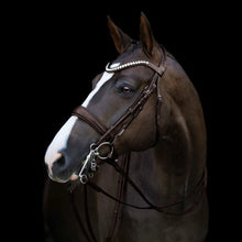 Load image into Gallery viewer, Lumiere 'ATHENS' LUXURY LEATHER BRIDLE - (DOUBLE) HAVANA BROWN
