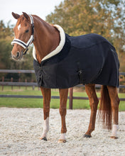 Load image into Gallery viewer, QHP Julin Show Rug