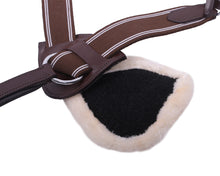 Load image into Gallery viewer, QHP Ontario Breast Plate