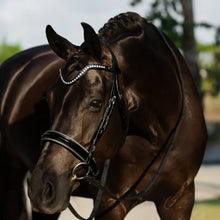 Load image into Gallery viewer, Lumiere SAPHIRA BRIDLE (CAVESSON)