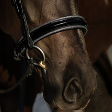 Load image into Gallery viewer, Lumiere SAPHIRA BRIDLE (CAVESSON)