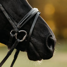 Load image into Gallery viewer, Lumiere DEMI BRIDLE