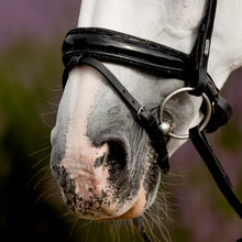 Load image into Gallery viewer, Lumiere 'ARCADIA' LUXURY LEATHER BRIDLE (HANOVERIAN)
