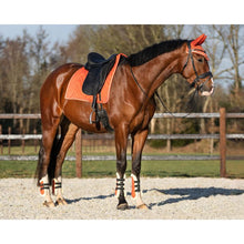 Load image into Gallery viewer, QHP MENTON TENDON BOOT SET