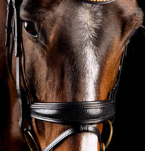 Load image into Gallery viewer, MRS ROS DELUXE BRIDLE KNIGHT POWER SINGLE TRENS ~ Cob