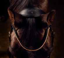 Load image into Gallery viewer, MRS ROS DELUXE BRIDLE KNIGHT POWER SINGLE TRENS ~ Cob