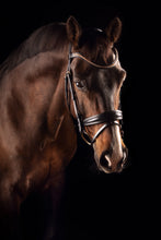 Load image into Gallery viewer, MRS ROS DELUXE BRIDLE KNIGHT POWER SINGLE TRENS ~ Cob