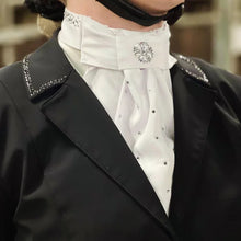 Load image into Gallery viewer, SD Design - Classical Stock Tie