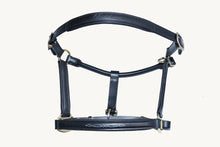 Load image into Gallery viewer, Bridleberry #3 FULL GRAIN HUNTER STYLE LEATHER HALTER W/TOP STITCHED DESIGN