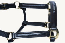 Load image into Gallery viewer, Bridleberry #3 FULL GRAIN HUNTER STYLE LEATHER HALTER W/TOP STITCHED DESIGN