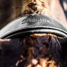 Load image into Gallery viewer, Lumiere ~ DOUBLE BRIDLE BROAD HEADPIECE