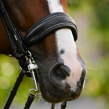 Load image into Gallery viewer, Lumiere Diva Double Bridle