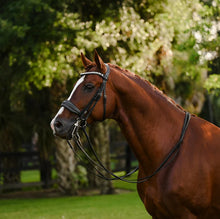 Load image into Gallery viewer, Lumiere Diva Double Bridle