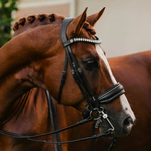Load image into Gallery viewer, Lumiere Diva Double Bridle