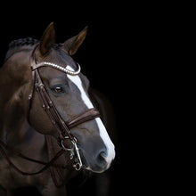Load image into Gallery viewer, Lumiere 'ATHENS' LUXURY LEATHER BRIDLE - (DOUBLE) HAVANA BROWN