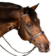 Load image into Gallery viewer, Lumiere Classic Hunter Bridle