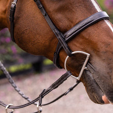 Load image into Gallery viewer, Lumiere Classic Hunter Bridle