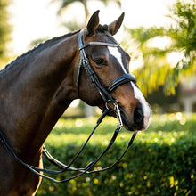 Load image into Gallery viewer, Lumiere AMIE' LUXURY LEATHER BRIDLE - (DOUBLE)