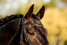 Load image into Gallery viewer, Lumiere Pia Grackle Bridle