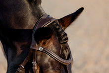 Load image into Gallery viewer, Lumiere Pia Grackle Bridle