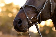 Load image into Gallery viewer, Lumiere Pia Grackle Bridle