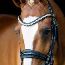 Load image into Gallery viewer, SD® MYSTERY DOUBLE BRIDLE IN BLACK/BLACK/GLITTER PATENT.