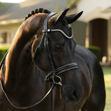 Load image into Gallery viewer, Lumiere SAPHIRA BRIDLE (CAVESSON)