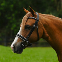 Load image into Gallery viewer, LUMI PONY ~ PRINCESS BRIDLE
