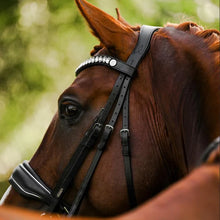 Load image into Gallery viewer, Lumiere Diva Double Bridle