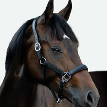 Load image into Gallery viewer, LUMI PONY ~ VEGAS GLITTER LEATHER HALTER