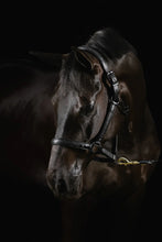Load image into Gallery viewer, MRS. ROS LEATHER HALTER DIAMOND DELUXE MOVIE STAR
