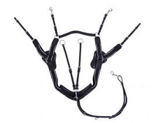 Load image into Gallery viewer, QHP Sedna 5 Point Breastplate