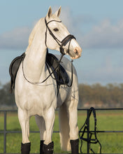 Load image into Gallery viewer, QHP Metallic Glitz Chin and Nose Pad