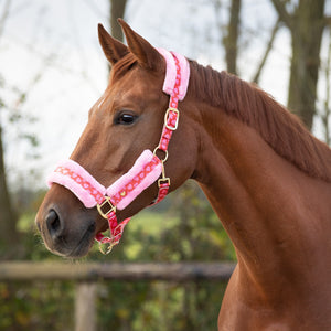 QHP Valentine Halter Set